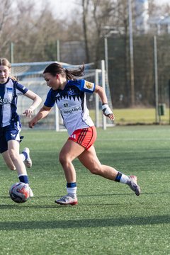 Bild 259 - wBJ Hamburger SV - Hertha BSC : Ergebnis: 2:1